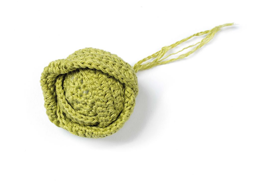 Groene kool, in het rood gemaakt is het een rode kool